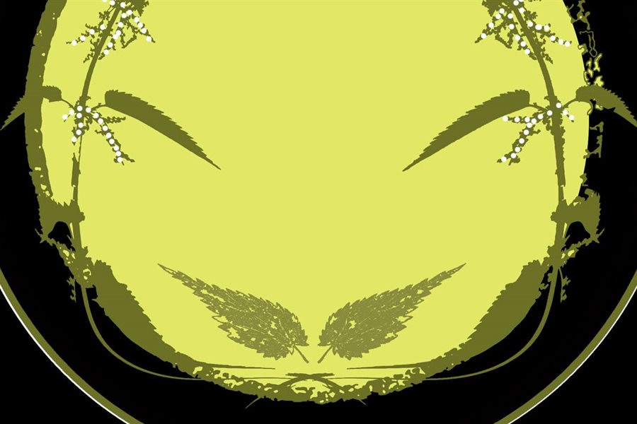 Brennesle til nytte og glede